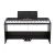 Korg XE20SP