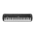 Korg SV-2 88