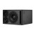 Dynaudio Core 47 Left