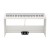 Korg B2SP WH