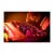 Arturia DrumBrute Impact