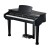 Kurzweil KAG100 EP