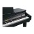 Kurzweil KAG100 EP