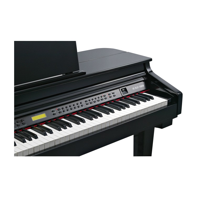 Kurzweil KAG100 EP