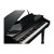 Kurzweil KAG100 EP