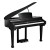 Kurzweil KAG100 EP