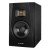 Adam Audio T5V