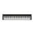 Korg D1