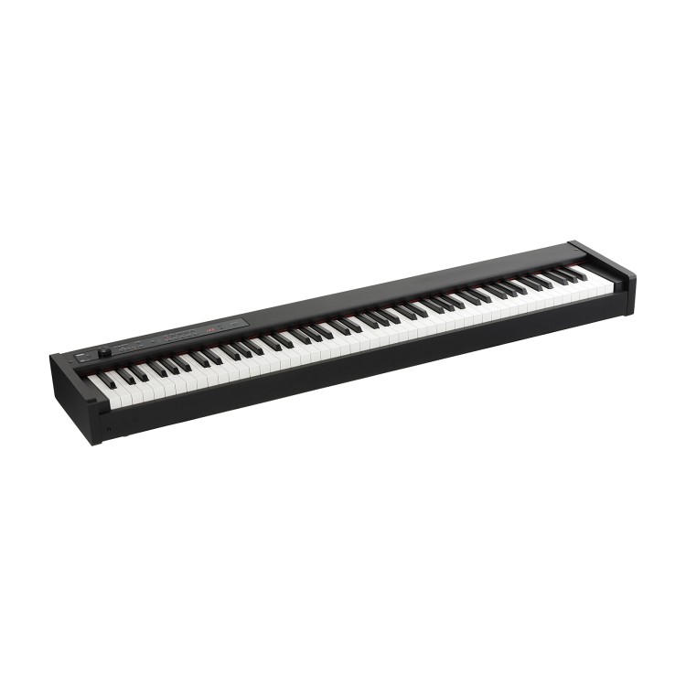 Korg D1
