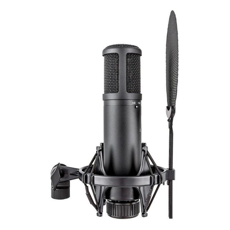 sE Electronics 2200