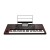 Korg Pa1000
