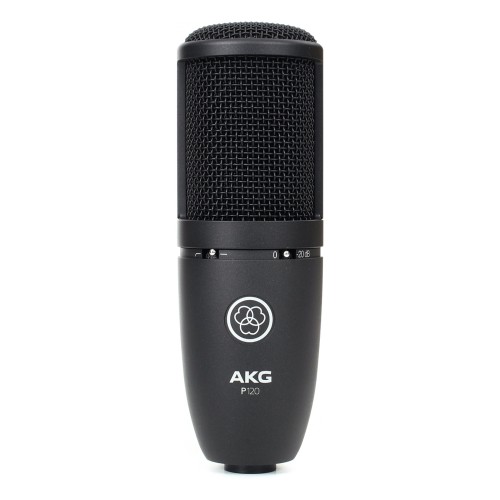 AKG P120