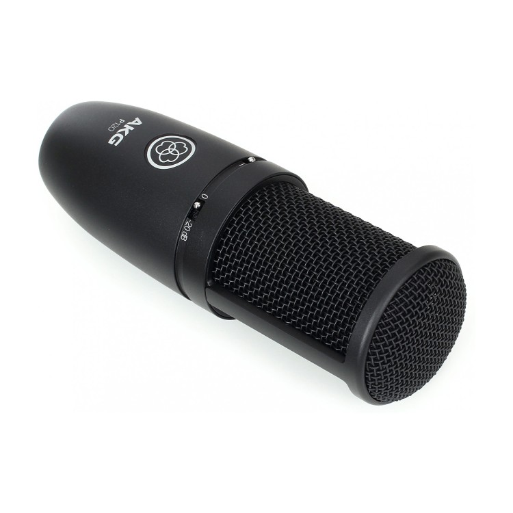 AKG P120
