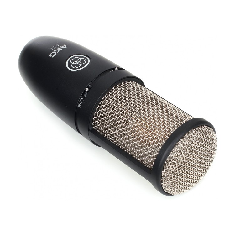 AKG P220