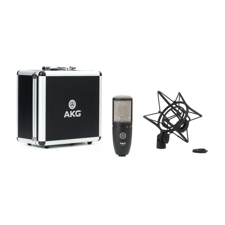 AKG P220
