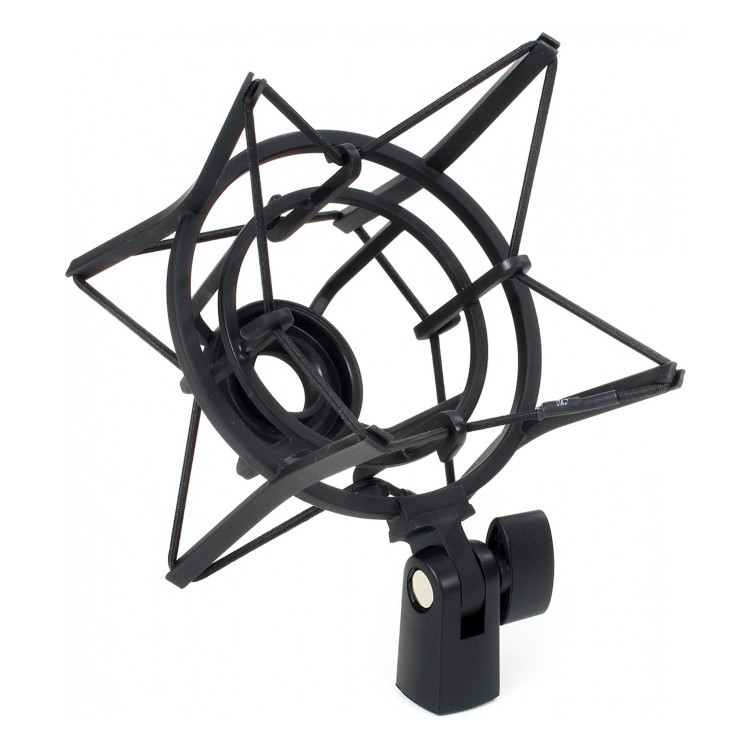 AKG P220