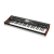 Behringer DeepMind 12