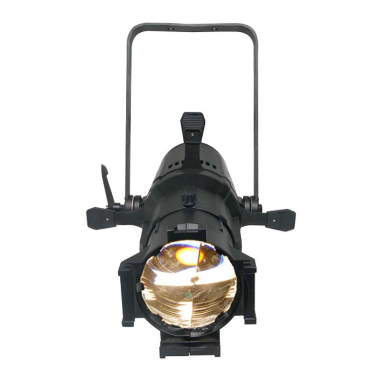 Chauvet Ovation E-190 WW