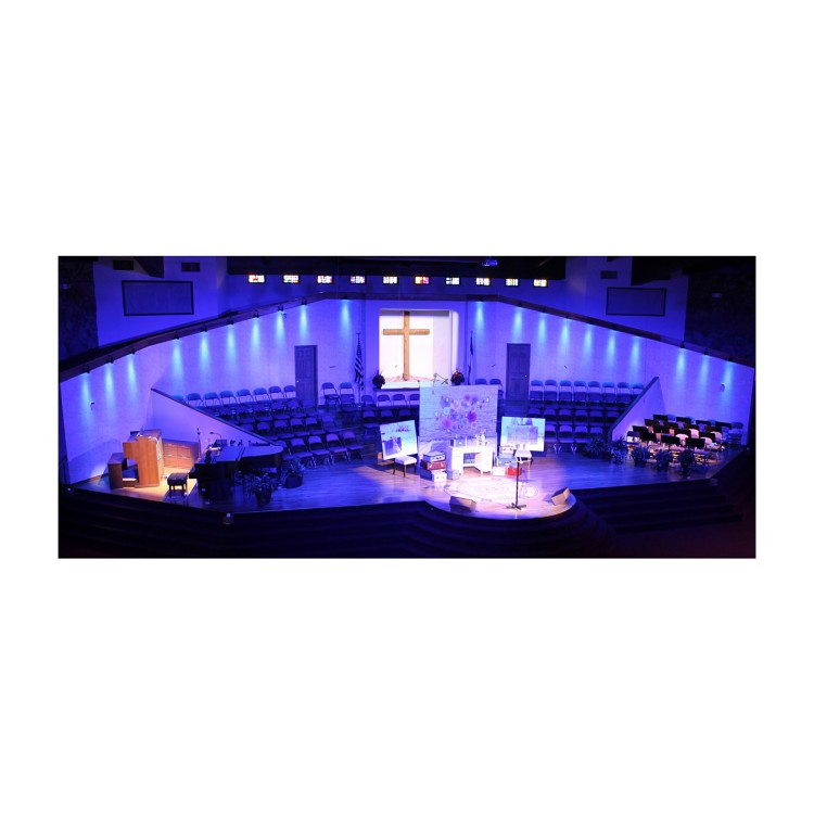 Chauvet Ovation E-190 WW