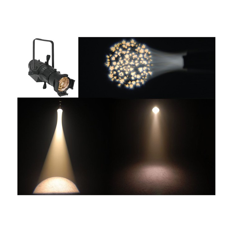 Chauvet Ovation E-190 WW