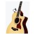 DPA d:vote 4099 Guitar