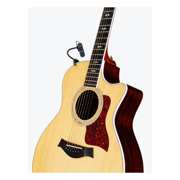 DPA d:vote 4099 Guitar
