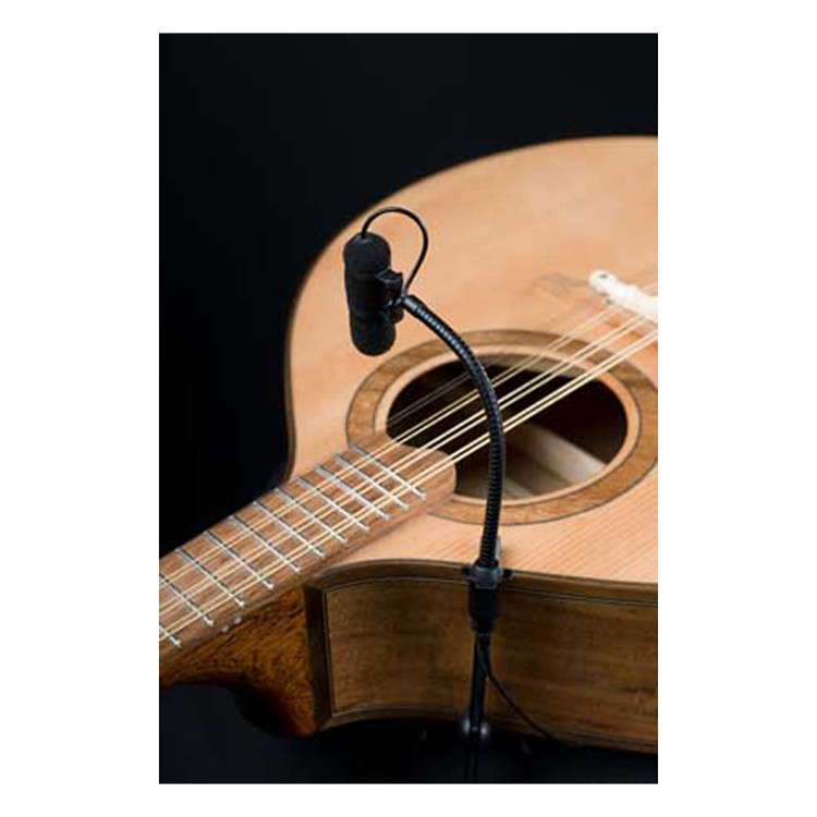 DPA d:vote 4099 Guitar