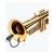 DPA d:vote 4099 Trumpet