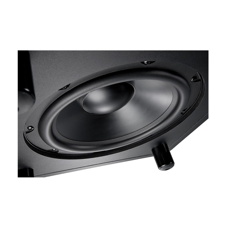 JBL LSR310S