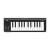 Korg microKEY 25