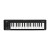 Korg microKEY 37 mk II