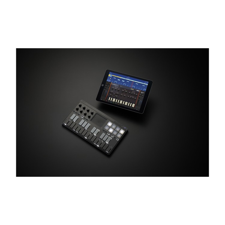 Korg nanoKey Studio