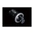 Lewitt Audio DTP 640 REX