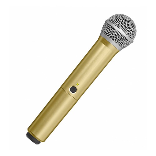 Shure WA712-GLD