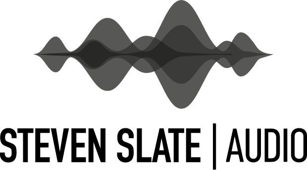 Producent: Steven Slate Audio (przejdź do produktów)